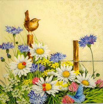 282 Margeriten - 3-lagig (creme) - Ambiente
